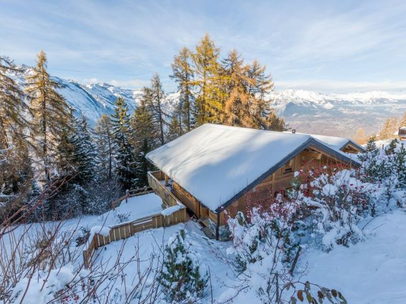 22130385-Ferienhaus-6-Haute-Nendaz-800x600-1