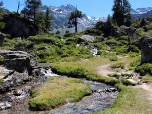 23492044-Ferienhaus-12-Haute-Nendaz-300x225-0