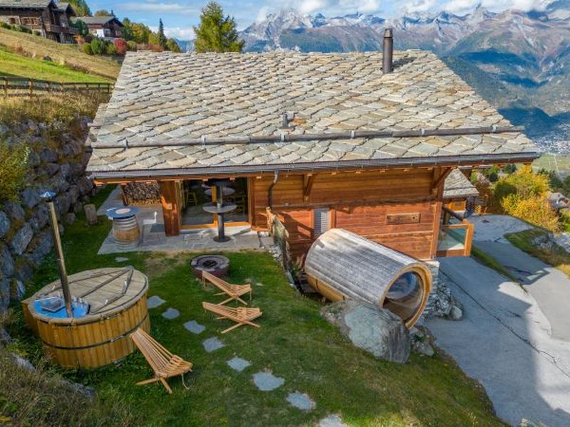 23504643-Ferienhaus-14-Haute-Nendaz-800x600-0