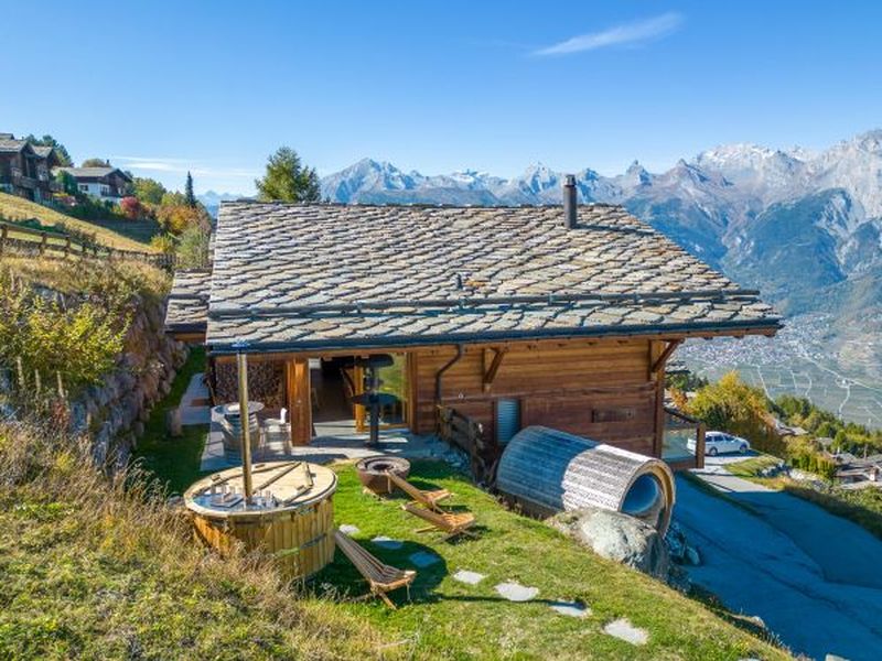 23504643-Ferienhaus-14-Haute-Nendaz-800x600-2