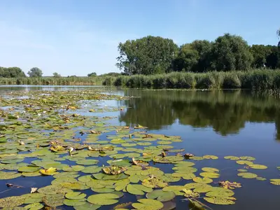 Ferienhaus für 3 Personen (25 m²) in Havelsee 10/10