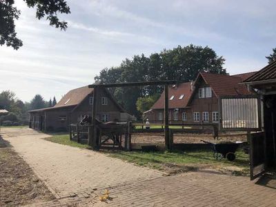 Ferienhaus für 6 Personen (60 m²) in Hechthausen 10/10