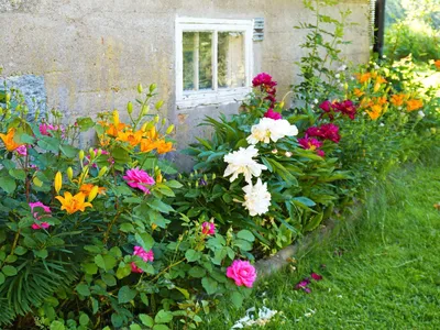 Outdoor