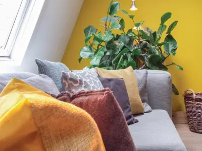 living-room