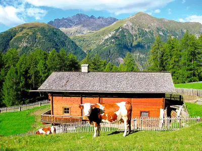 Bild 5