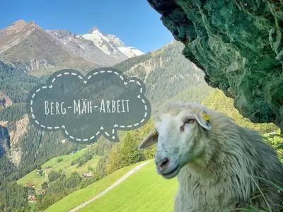 Ferienhof "Oberer Gollmitzer" Ausblick Sommer