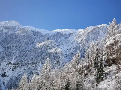 Glockner Chalet_2018_2 - Kopie