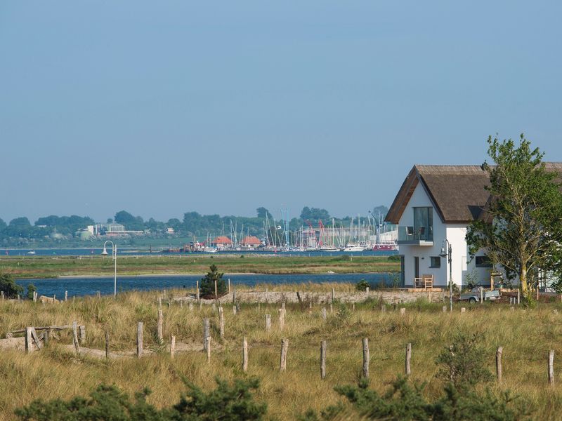 19061852-Ferienhaus-8-Heiligenhafen-800x600-0