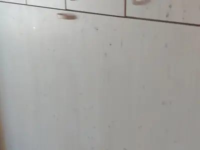 Ferienhaus für 3 Personen (45 m²) in Heiligenhafen 8/10