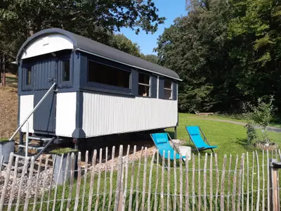 Ferienhaus für 4 Personen (95 m²) in Heimbach 7/10