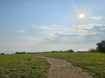 AreaSummer1KM