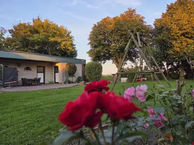 Blick in den Garten