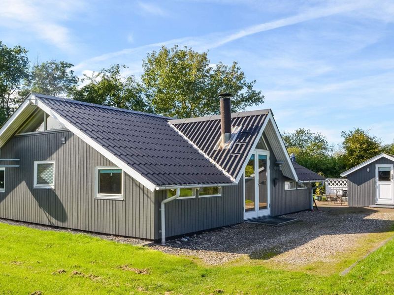 22469563-Ferienhaus-5-Hemmet-800x600-0