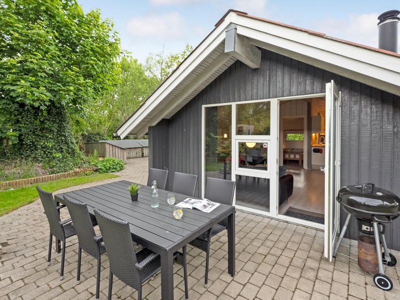 23753187-Ferienhaus-6-Hemmet-800x600-0