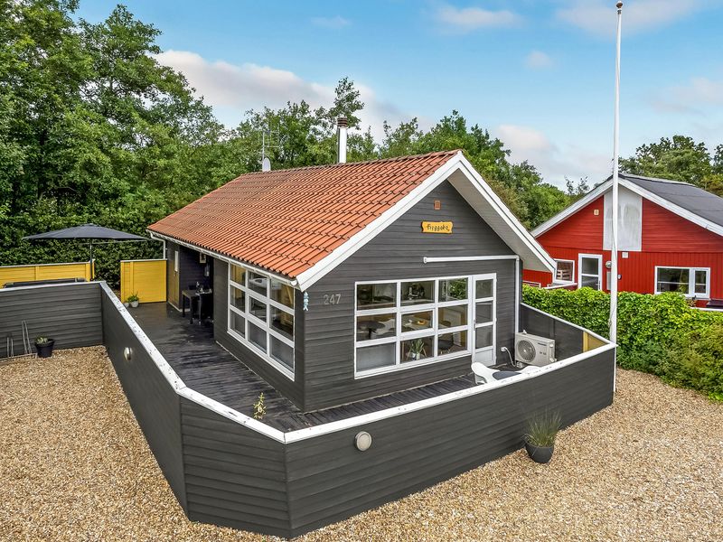 23728953-Ferienhaus-6-Hemmet-800x600-0