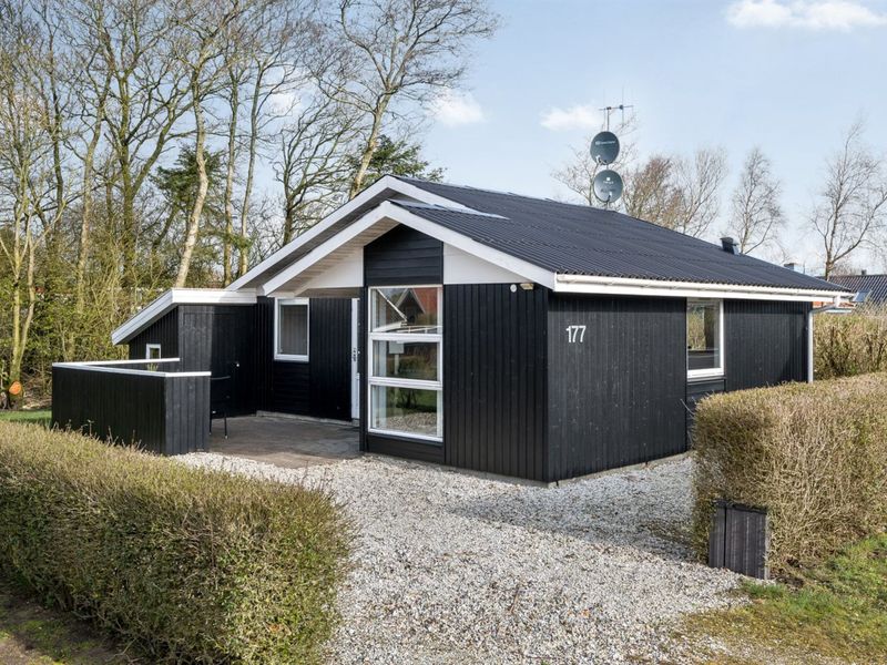 23866613-Ferienhaus-6-Hemmet-800x600-0