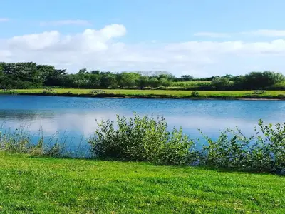 WaterView