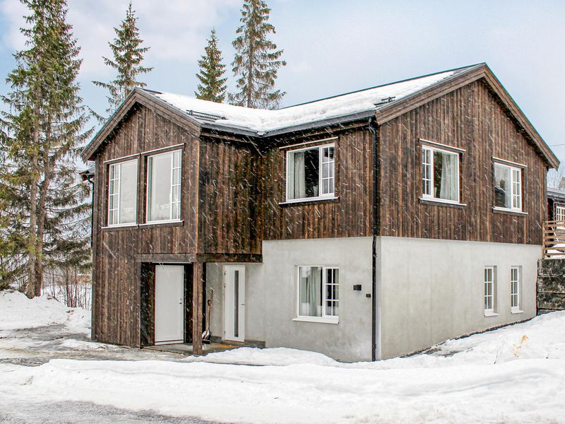 23742754-Ferienhaus-19-Hemsedal-800x600-0