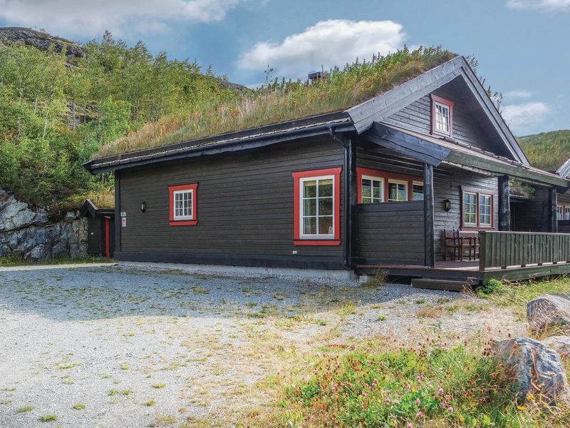 23720443-Ferienhaus-10-Hemsedal-800x600-0