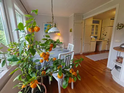 Indoor