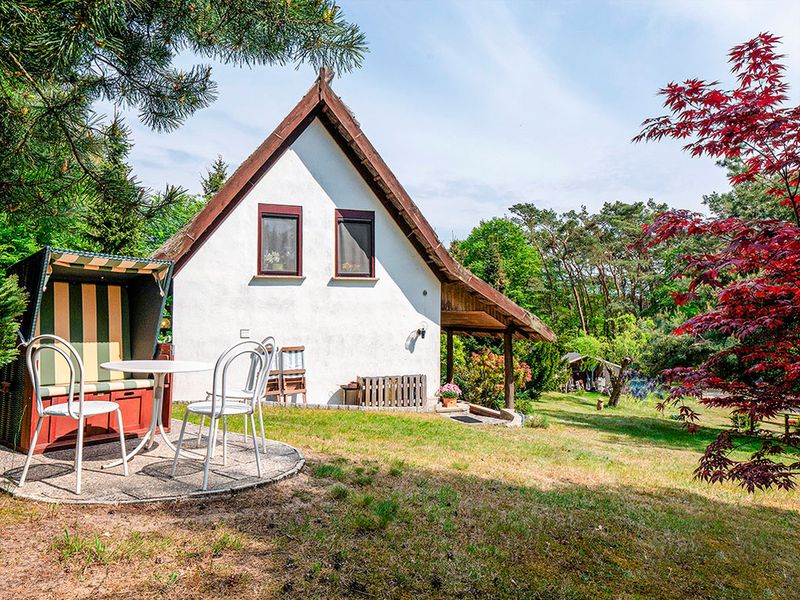 23975942-Ferienhaus-4-Heringsdorf (Seebad)-800x600-2