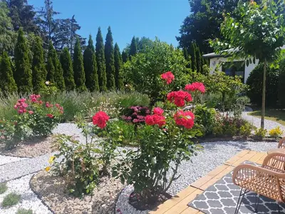 Ferienhaus für 5 Personen (60 m²) in Heringsdorf (Seebad) 4/10
