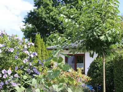 Ferienhaus für 5 Personen (60 m²) in Heringsdorf (Seebad) 5/10