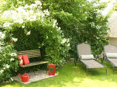 Ferienhaus für 6 Personen (115 m²) in Heringsdorf (Seebad) 3/10