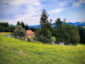 Der Birkenhof ist umgeben von Wiesen, Weisen und Wald.