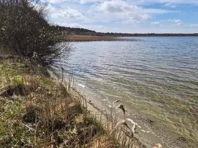 WaterView