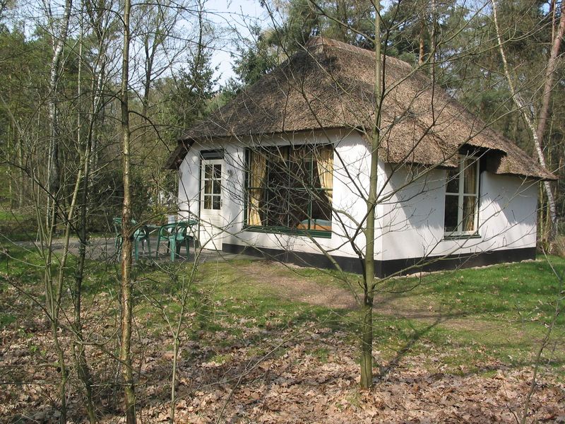 19353865-Ferienhaus-4-Herpen-800x600-1