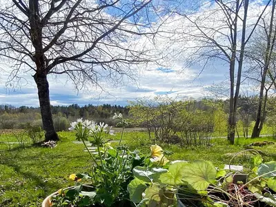 Outdoor
