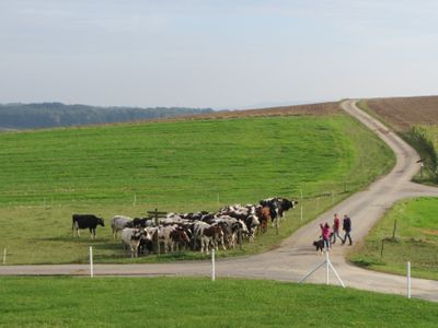 Ferienhaus für 6 Personen (95 m²) in Herrstein 6/10