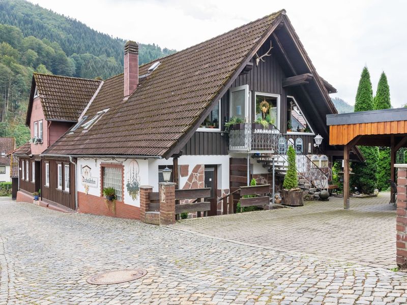 19340761-Ferienhaus-2-Herzberg (Harz)-800x600-1