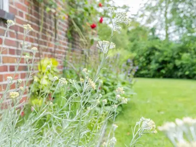 Ferienhaus für 7 Personen (75 m²) in Beningafehn 7/10