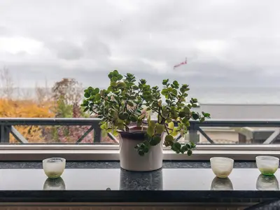 Indoor