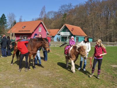 Reiten