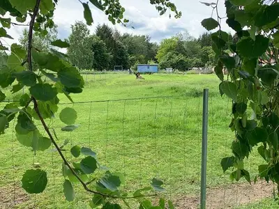 Ferienhaus für 5 Personen (80 m²) in Hilders 8/10