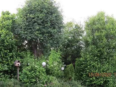 Ferienhaus für 5 Personen (80 m²) in Hilders 10/10