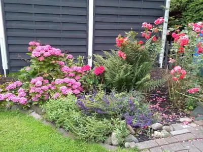 Garten Ferienhaus Lea