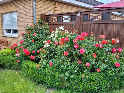 Ferienhaus für 4 Personen (100 m²) in Hinte 7/10