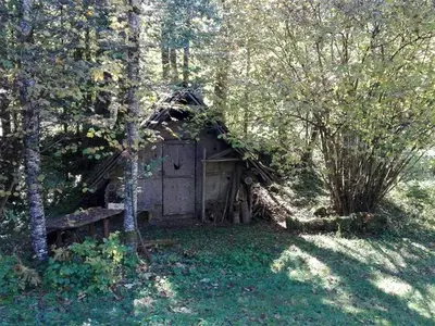 Ferienhaus für 10 Personen (160 m²) in Hinterstoder 2/10