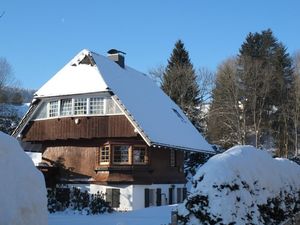 19547821-Ferienhaus-8-Hinterzarten-300x225-2