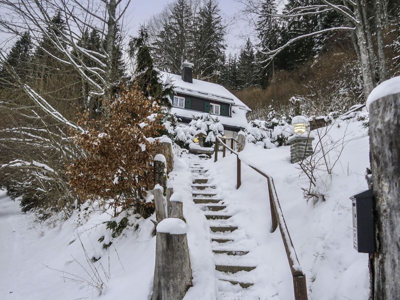 23864594-Ferienhaus-6-Hinterzarten-800x600-1