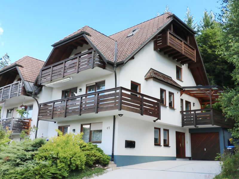 23475118-Ferienhaus-12-Hinterzarten-800x600-0