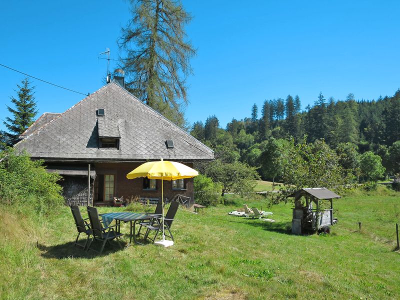 23851123-Ferienhaus-6-Hinterzarten-800x600-0