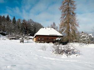 23851123-Ferienhaus-6-Hinterzarten-300x225-1