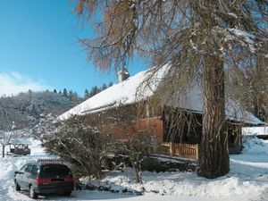 23851123-Ferienhaus-6-Hinterzarten-300x225-3