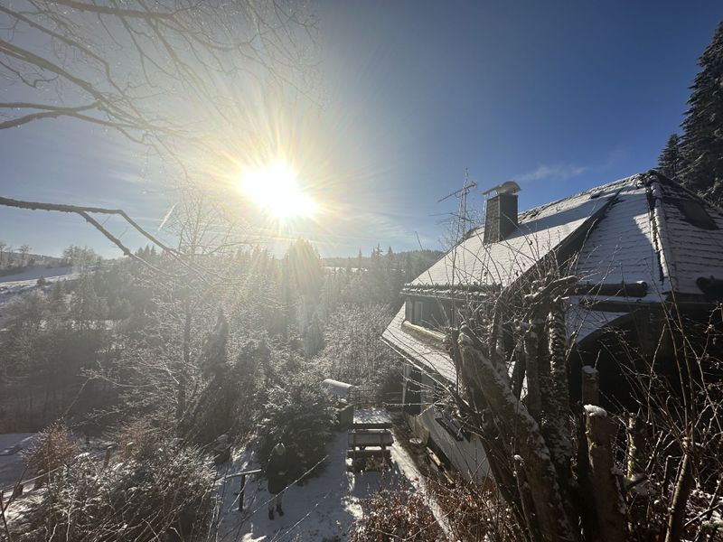 23864594-Ferienhaus-6-Hinterzarten-800x600-2