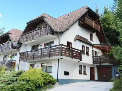 Ferienhaus für 12 Personen (188 m²) in Hinterzarten 1/10